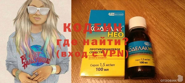 хмурый Нея
