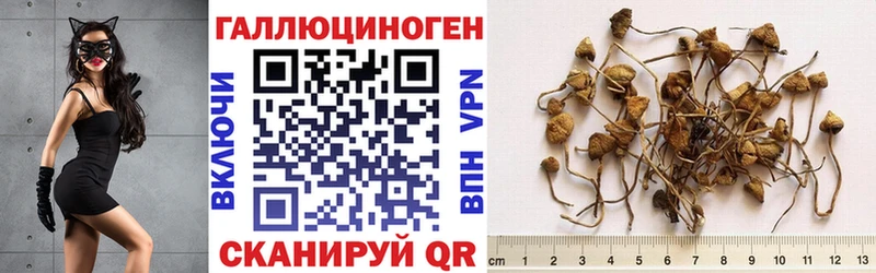нарко площадка телеграм  Мосальск  Галлюциногенные грибы GOLDEN TEACHER 